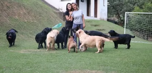 Dia a Dia do Canil